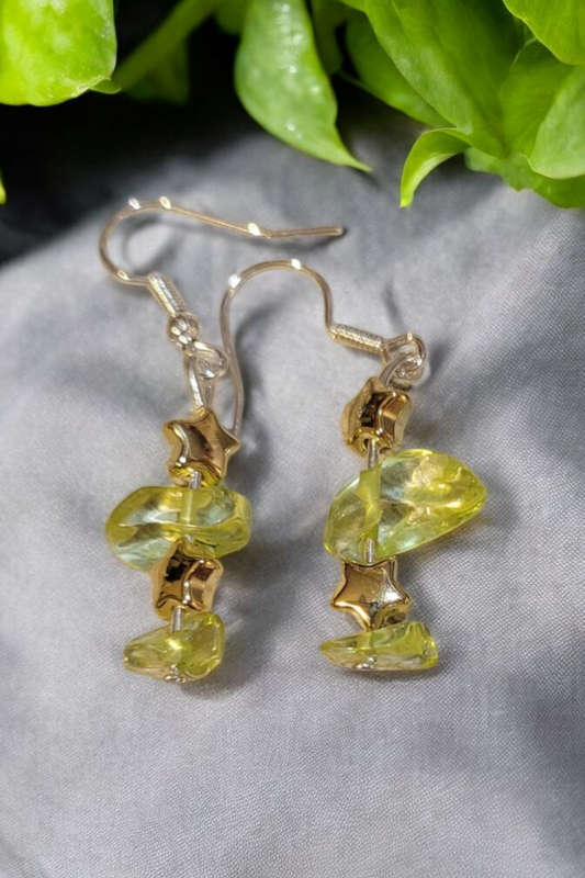 Stone dangle earrings