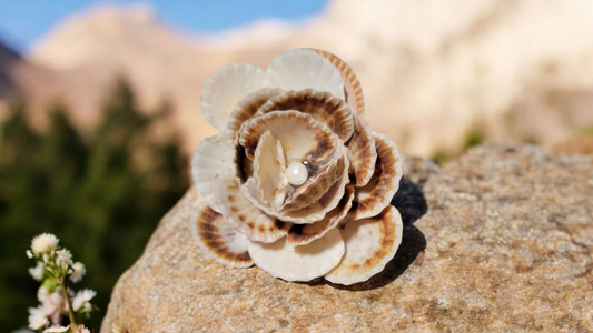 Sea shell flower