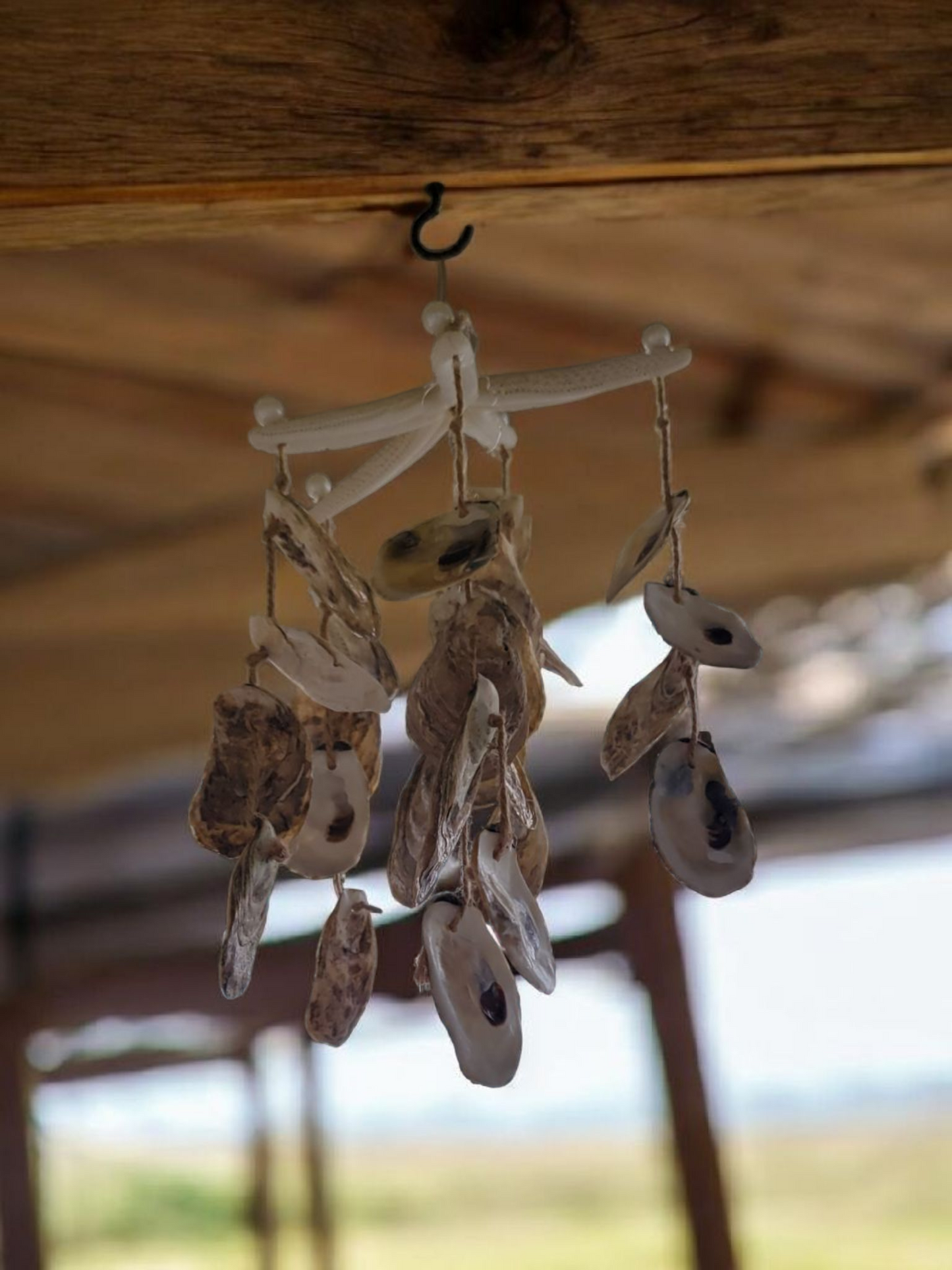 Oyster shell wind chime